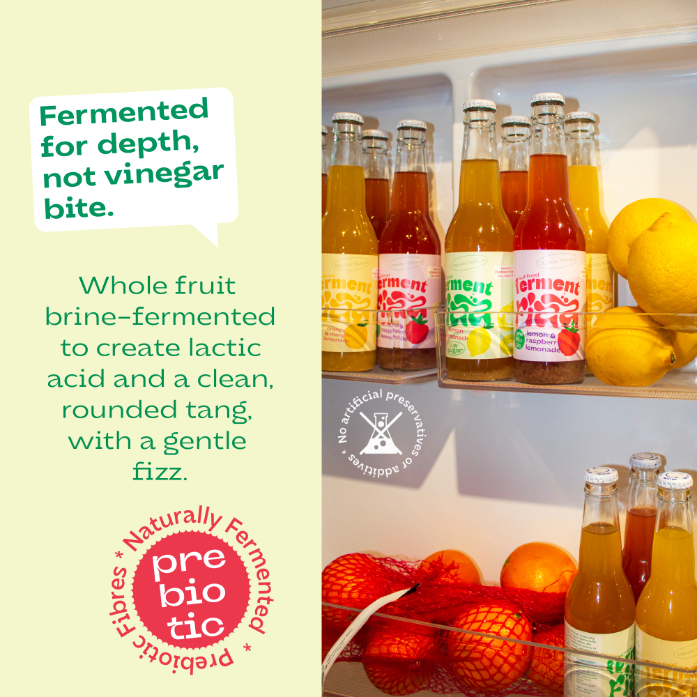 Ferment Fizz Lemon 330 ml bottle (12x330ml)