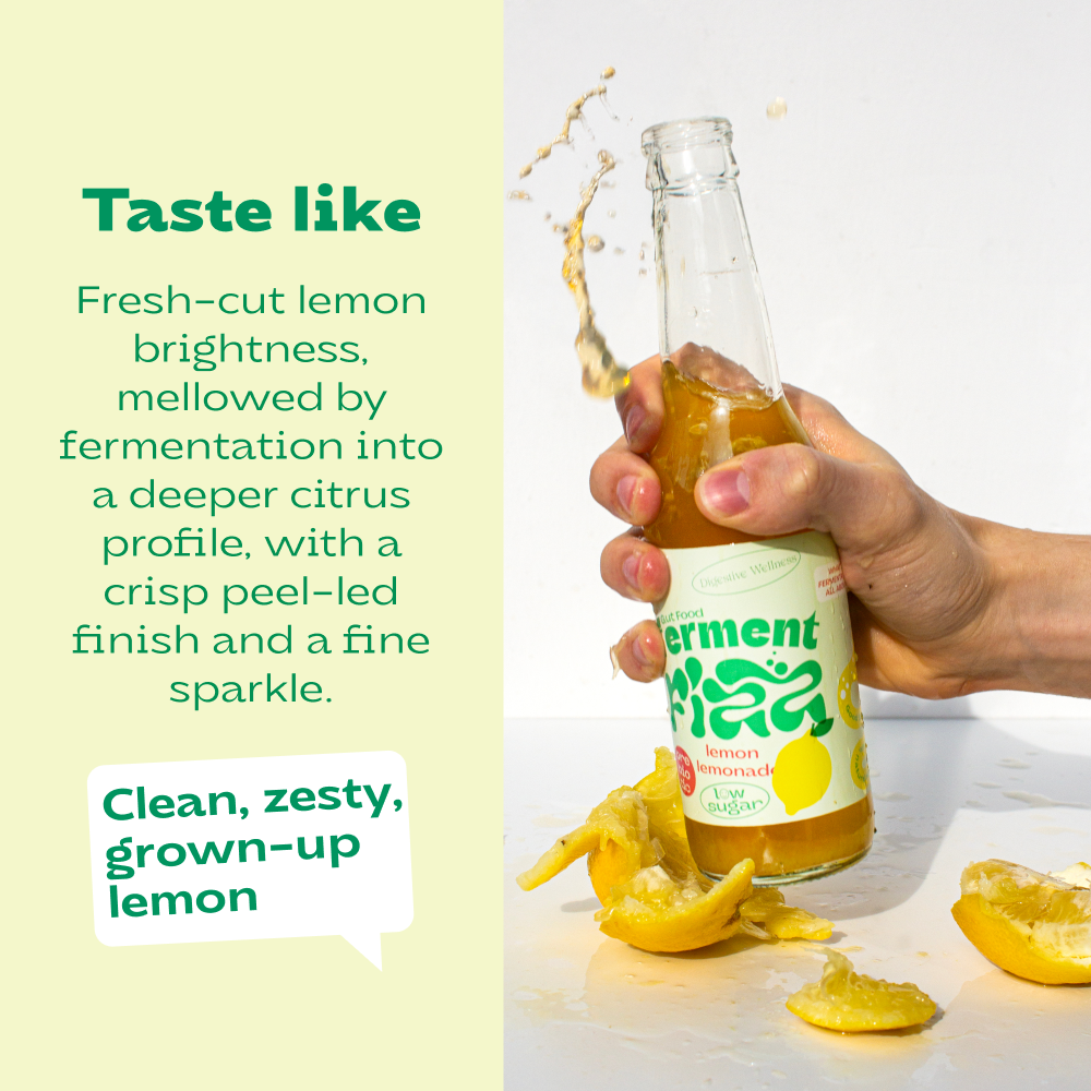 Ferment Fizz Lemon 330 ml bottle (12x330ml)