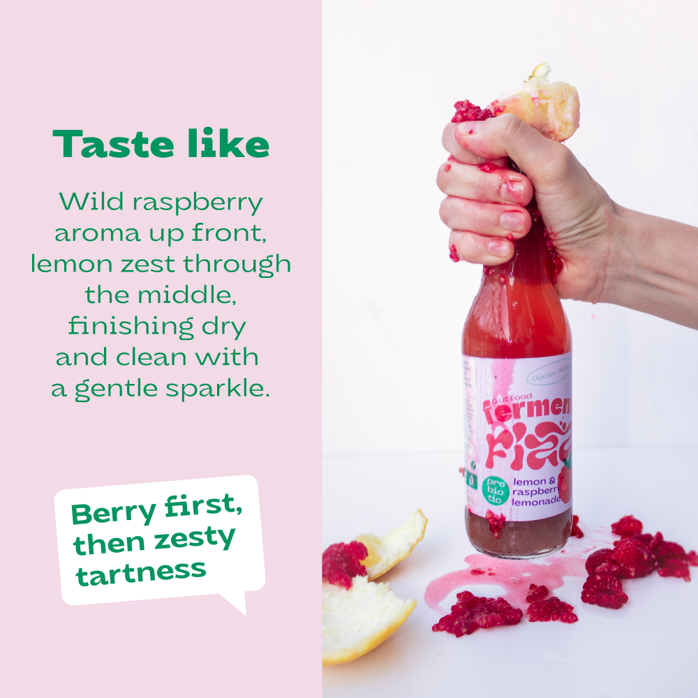 Ferment Fizz Lemon & Raspberry 330 ml bottle (12x330ml)