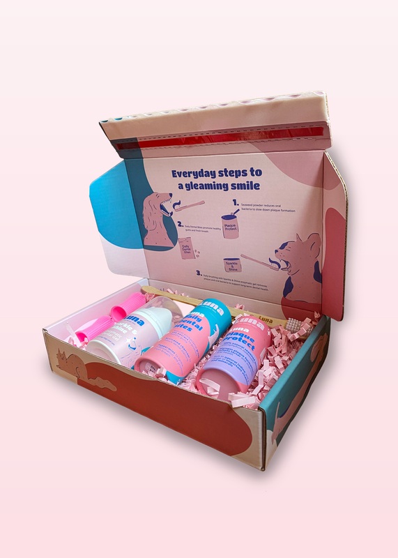 Luna Dental Health Box (Wholesale Item)