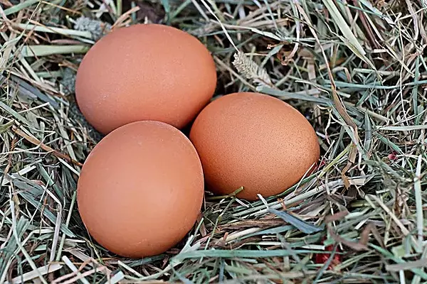 Huevos tamaño pequeño (1/2 docena)