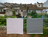 Mono Small Rug