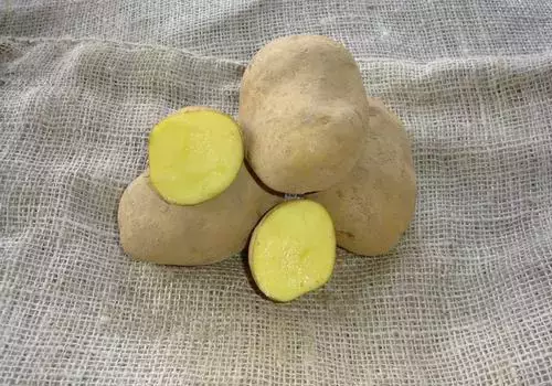 Patata variedad Agria (kg)