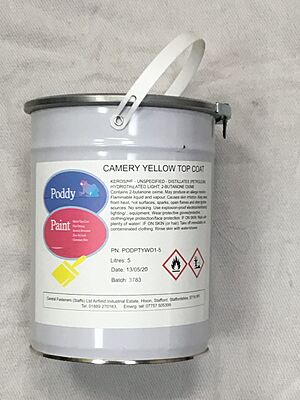Poddy Paint BS10E55 Camery Yellow Metal Top