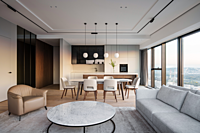 Dro Ceiling Susp 2.0 White Black14 Black-White