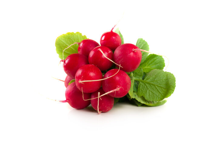 Rabanitos