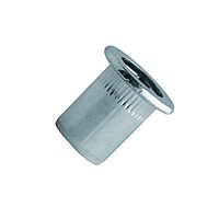 M5 Flanged Steel Rivnuts Bzp