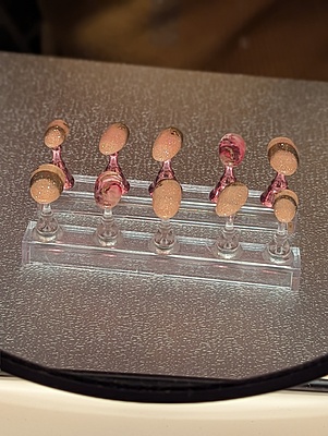 Royal and colorful blooming