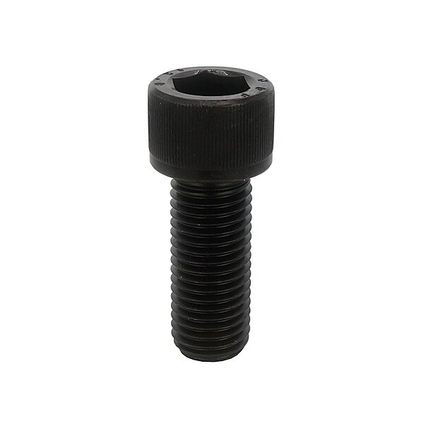 M14 x 30 Socket Head Cap Screw DIN912 Self