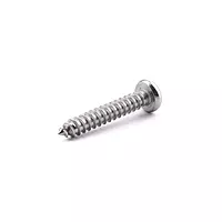 Self Tapper Pozi Pan No. 6 x 1/2" (3.5. x 13)