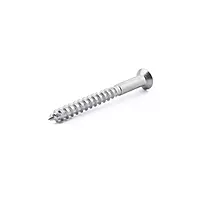 No.6 X 3/4 (3.5 X 20) A2 S/S Woodscrew