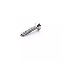 Self Tapper Torx CSK No.8 x 3/4" A2-304