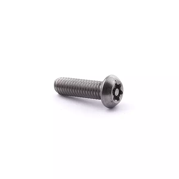 M6 x 16 Button Head Pin Torx Screw A2-304