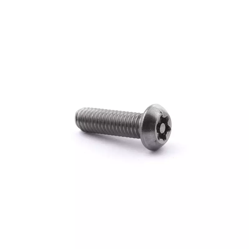 M6 x 16 Button Head Pin Torx Screw A2-304