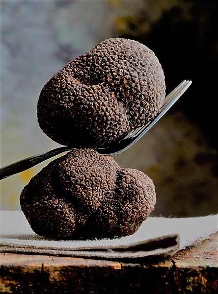 Vintertryffel (gram)