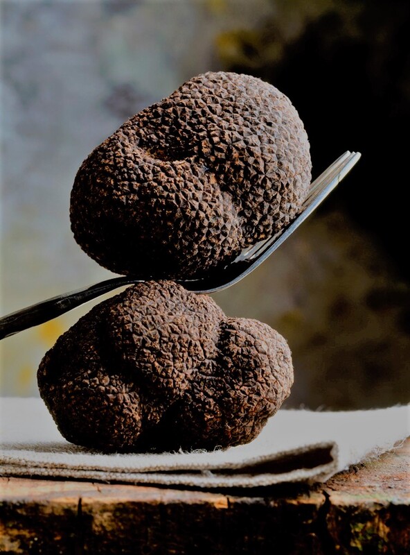 Vintertryffel (gram)