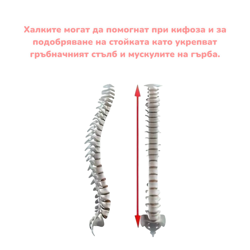 Гимнастически халки - за деца Гимнастически халки - за деца