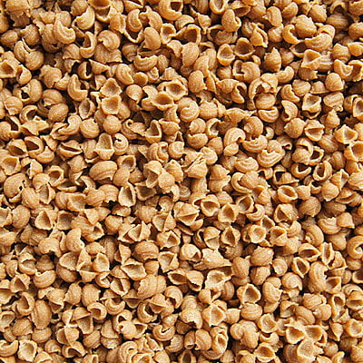 Mini Conchiglie 300 g